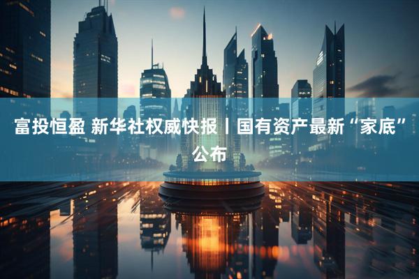 富投恒盈 新华社权威快报丨国有资产最新“家底”公布