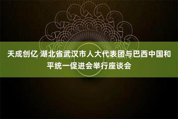 天成创亿 湖北省武汉市人大代表团与巴西中国和平统一促进会举行座谈会